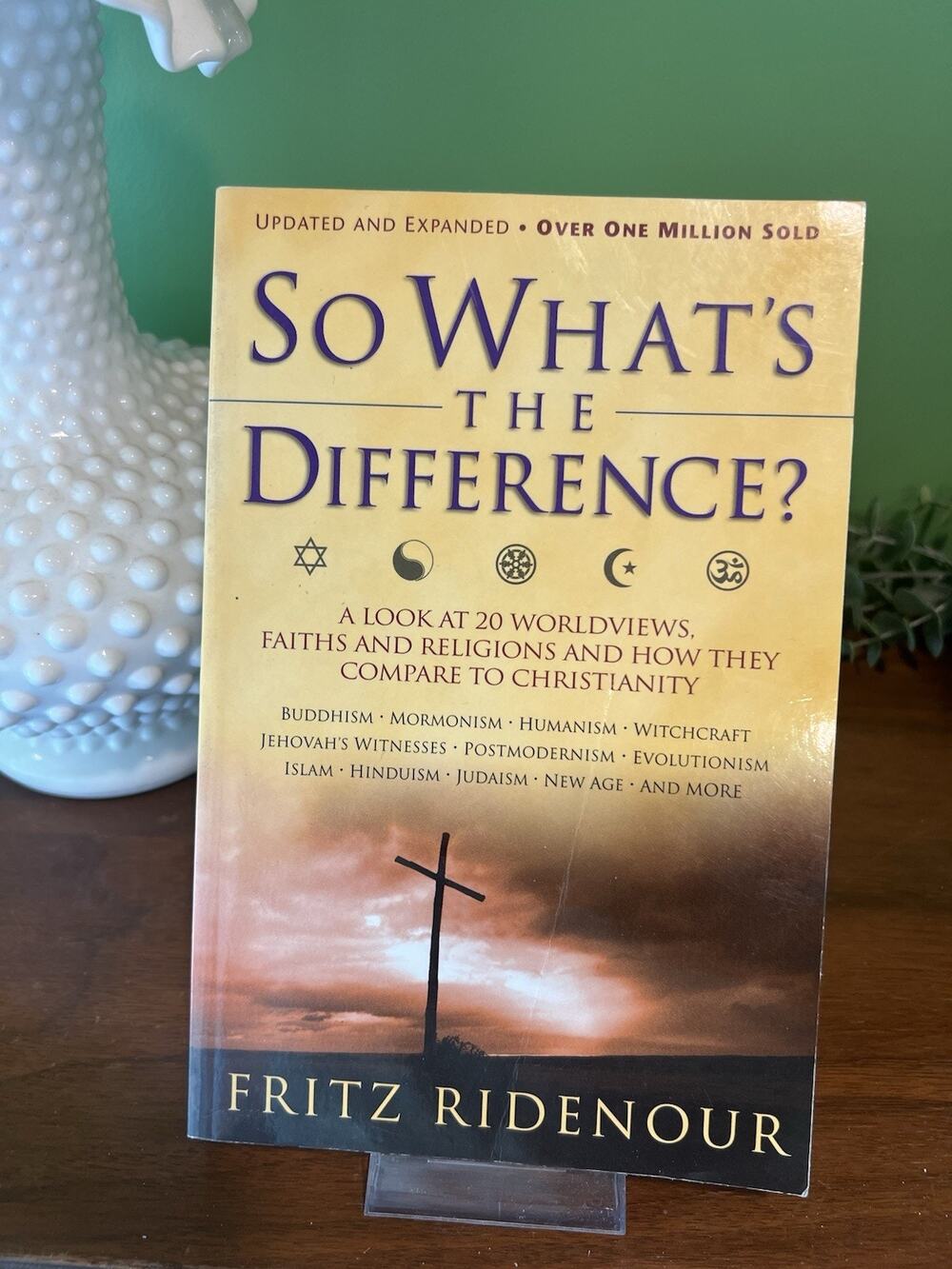 So What's the Difference - Paperback By Ridenour, Fritz - GOOD